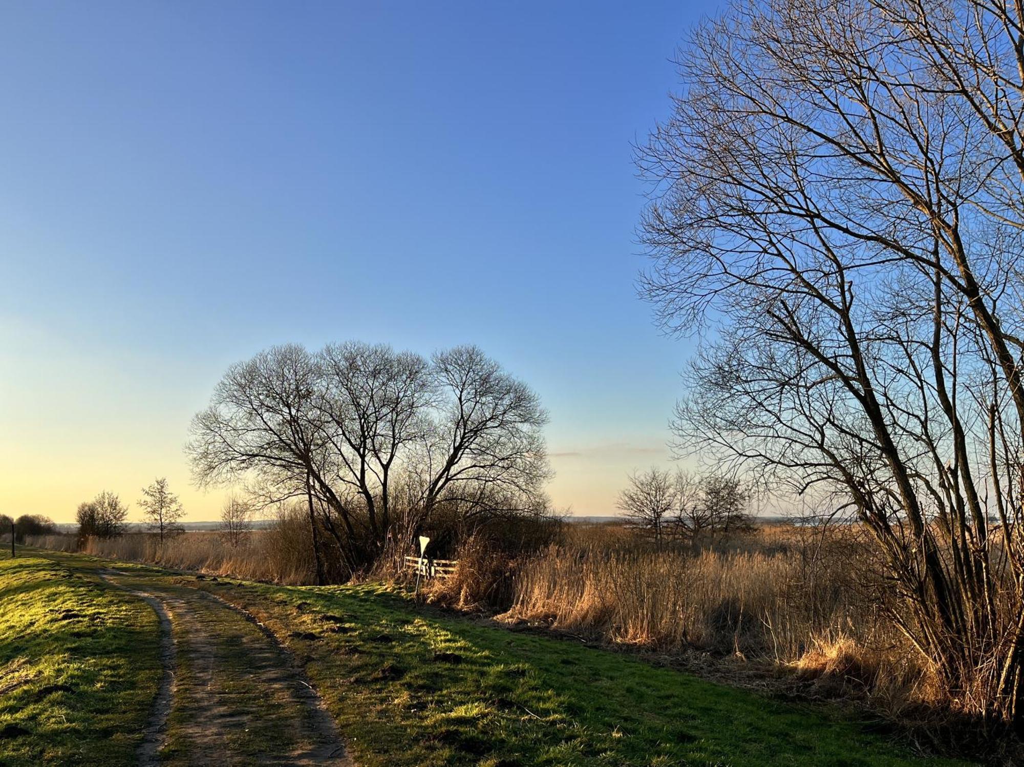 אפרטהוטל Hueder Hof Am Duemmer See מראה חיצוני תמונה